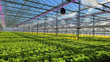 Great Lakes Growers Greenhouse