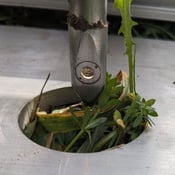root-and-soil-spectrometry-probes (1)